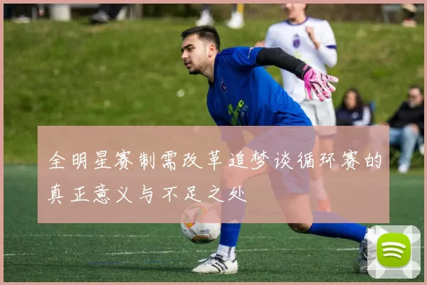 全明星赛制需改革追梦谈循环赛的真正意义与不足之处
