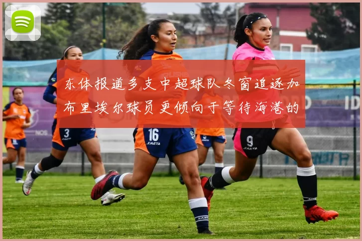 东体报道多支中超球队冬窗追逐加布里埃尔球员更倾向于等待海港的机会