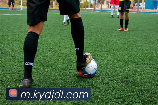 开云电竞App下载平台生态图