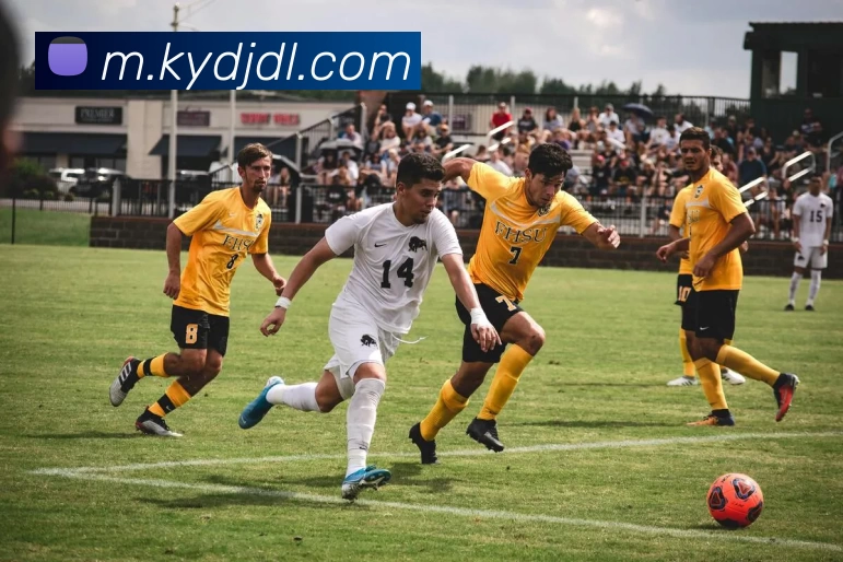 数据防护可视化